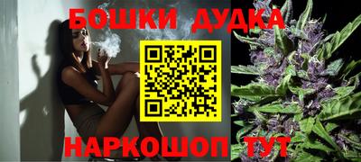 сатива Жуковский