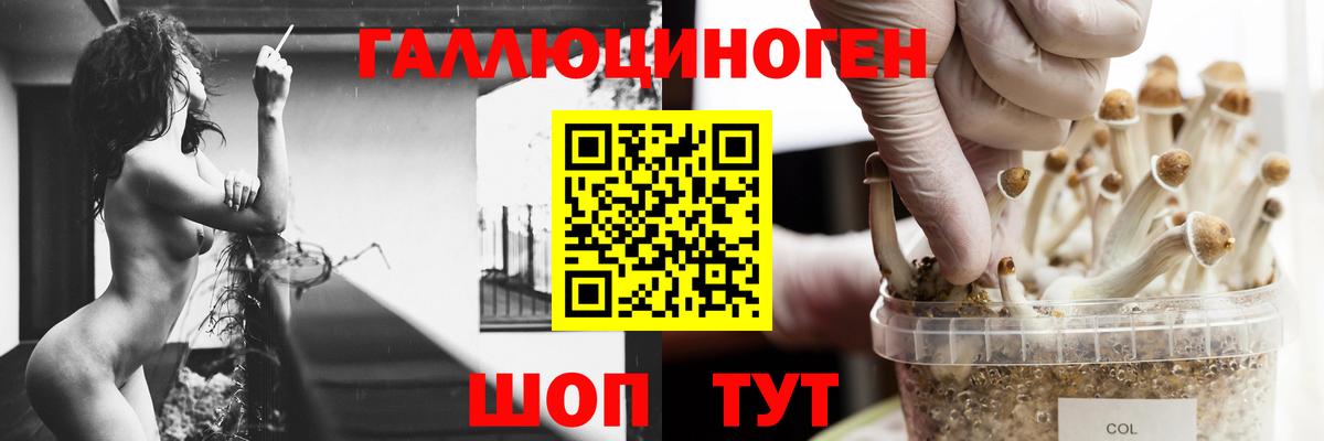 где можно купить наркотик  Псилоцибиновые грибы Psilocybine cubensis  Вход с VPN  Михайловка 